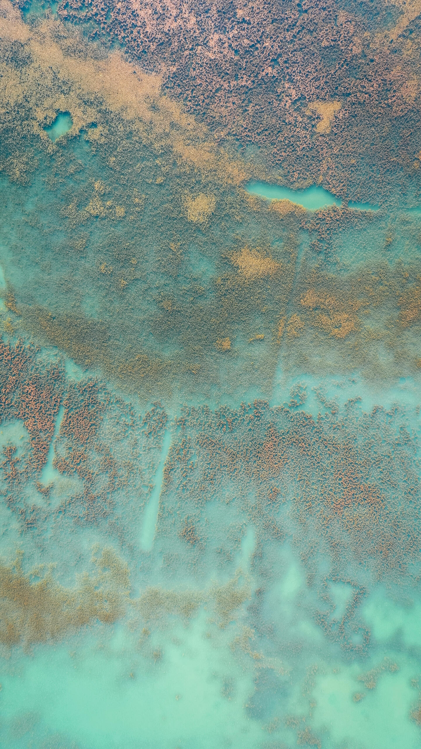 Image by Alex Perez for Unsplash An image of a dark green and teal ocean at sunrise